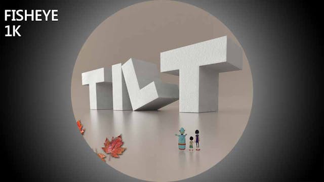 TLT show - fisheye