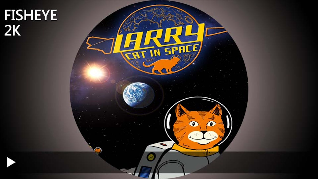 Larry Cat In Space - 2k