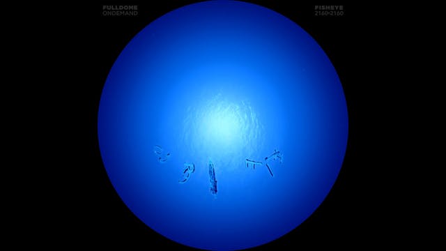 Into_The_Deep_FDOD_2160F