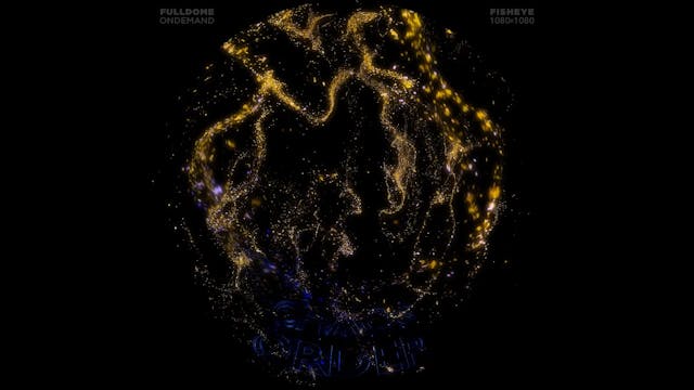 Chaos_And_Order_FDOD_1080F