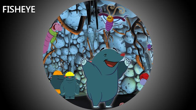 MOLES show - fisheye