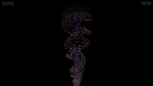 Body_Code_FDOD_1920W_ARABIC