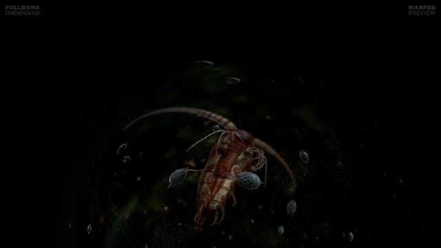 Living_Worlds_FDOD_1920W_PRE