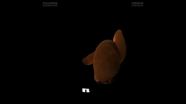 Music_A_Dream_Of_Sound_FDOD_1080F_PRE