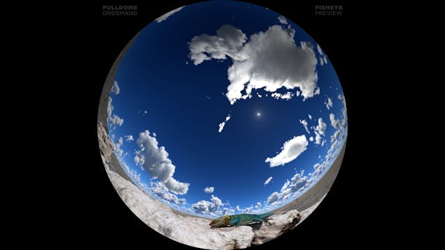 Incoming_FDOD_1080F_PRE