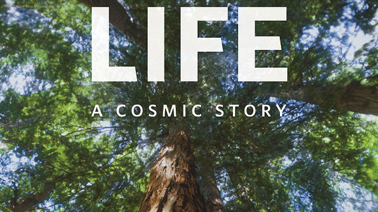 Life: A Cosmic Story