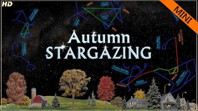 SSG autumn mini - HD