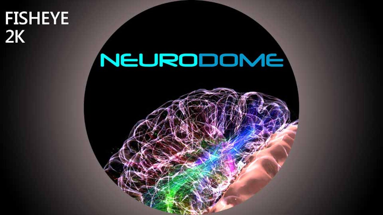 Neurodome - 2k