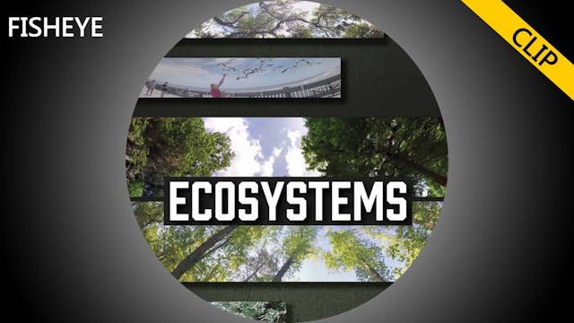 ESY clip - fisheye