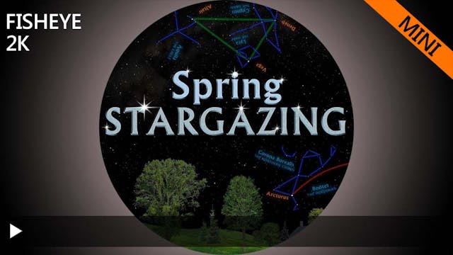 SSG spring mini - 2k fisheye