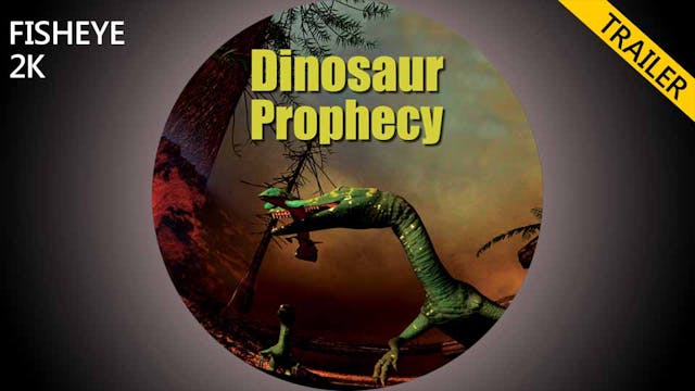 DNP trailer - fisheye 2k