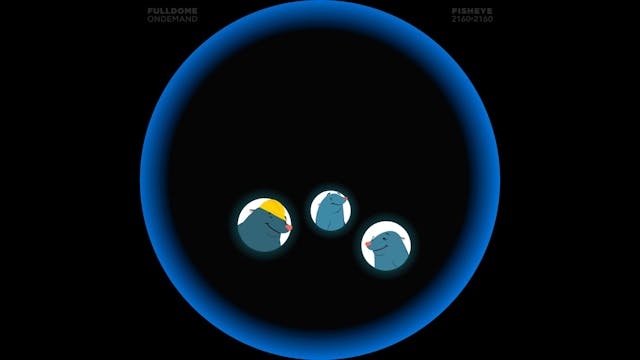 Moles_FDOD_2160F_POLISH