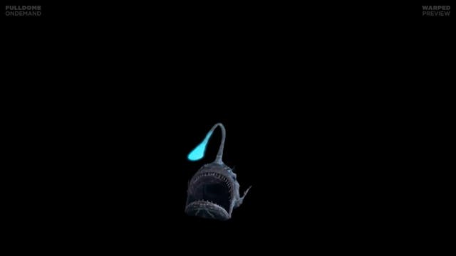 Into_The_Deep_FDOD_1920W_PRE