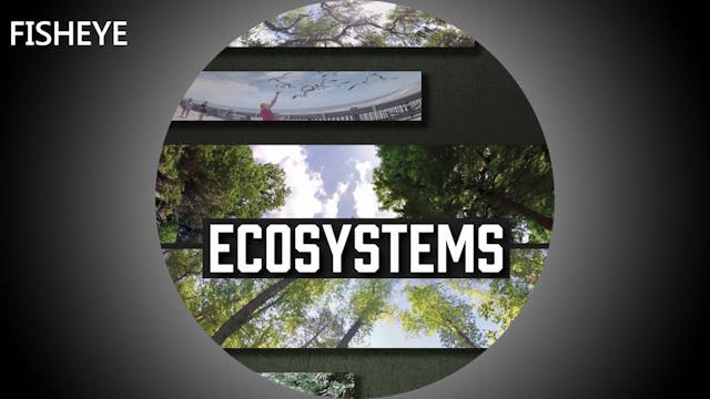 ESY show - fisheye