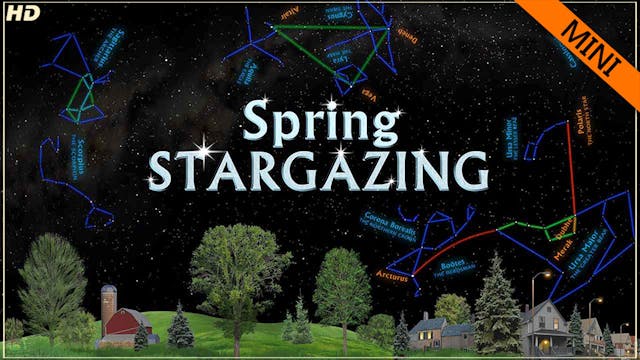 SSG spring mini - HD