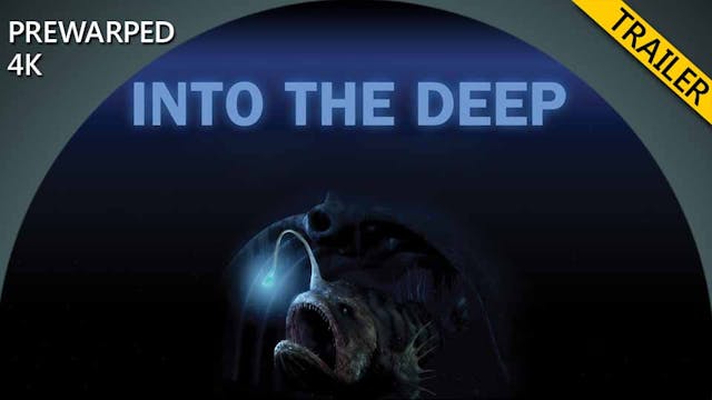 ITD trailer - prewarped 4k 