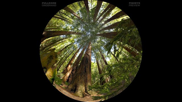 Life_A_Cosmic_Story_FDOD_1080F_PRE