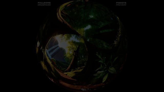 Lila_The_Adventure_Of_Change_FDOD_1080F_TRAILER