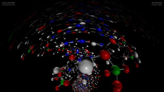 Body_Code_FDOD_1920W