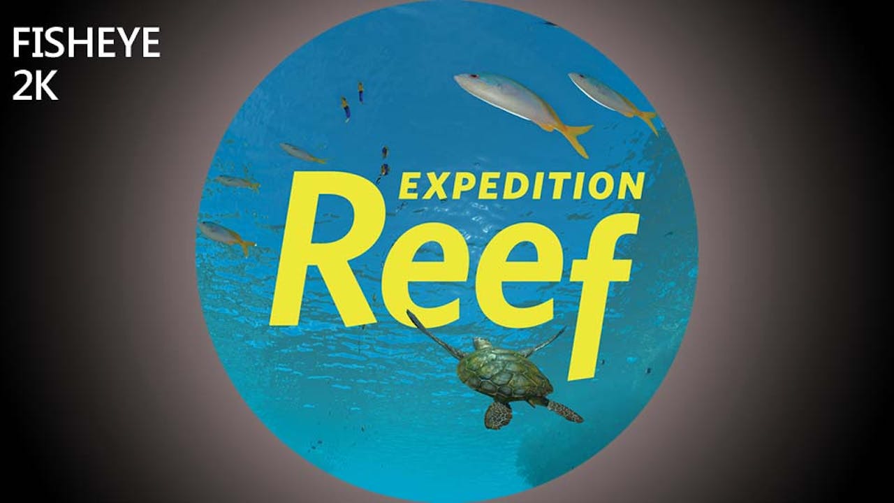 Expedition Reef - 2k