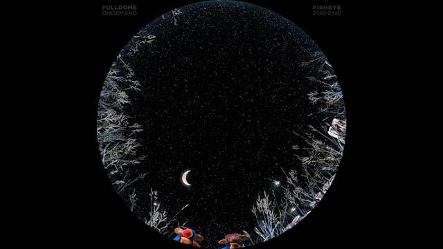 Mice_And_The_Moon_FDOD_2160F_POLISH