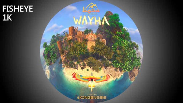 WYH show - fisheye