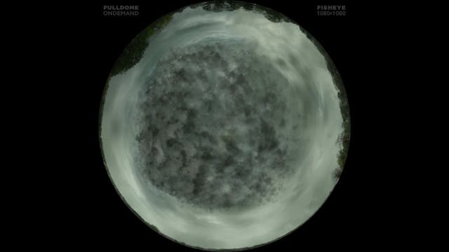 Force_Five_FDOD_1080F_SPANISH