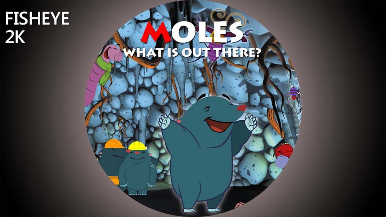 Moles: What Is Out There - 2k