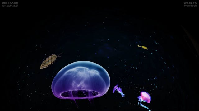 Dinosaurs_FDOD_1920W