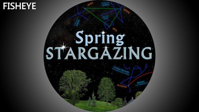 SSG Spring - fisheye