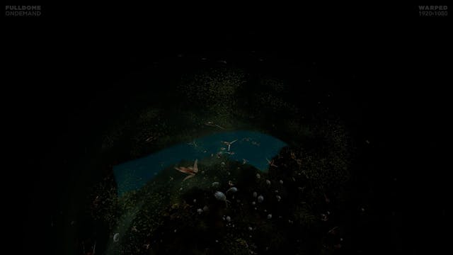 Living_Worlds_FDOD_1920W