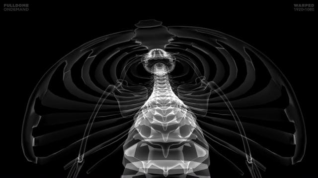 Body_Code_FDOD_1920W_HINDI