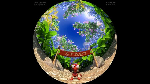 Meadow_Racers_FDOD_1080F_PRE