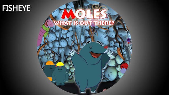 MLS show - fisheye - Polish