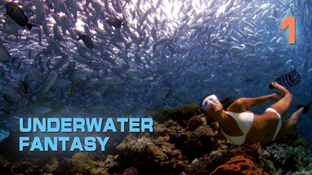 UWF1 show - prewarped