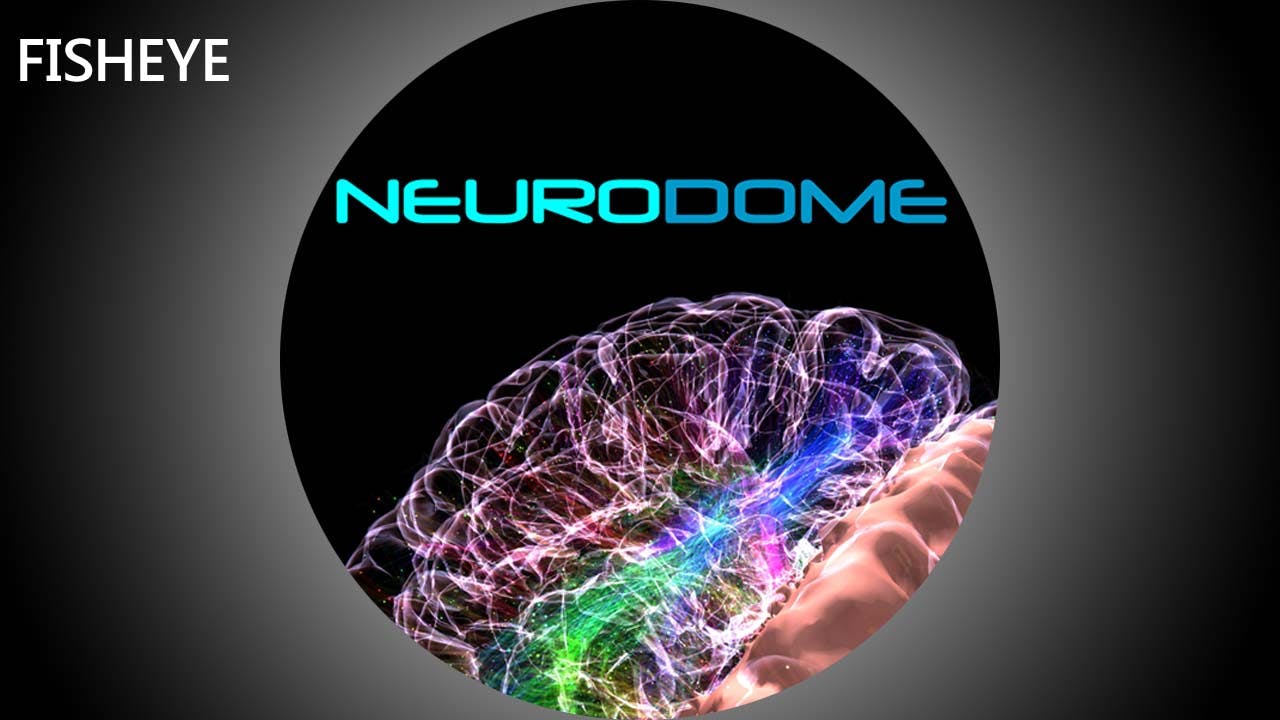 Neurodome - fisheye