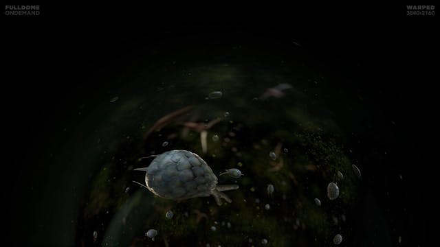 Living_Worlds_FDOD_3840W