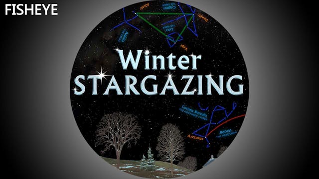 SSG Winter - fisheye