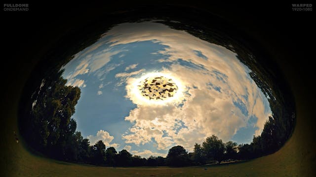 Dimensions_Once_Upon_Our_Reality_FDOD...