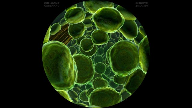 Life_A_Cosmic_Story_FDOD_2160F