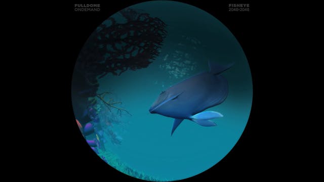 Apollo_And_Beyond_FDOD_2048F_TELUGU