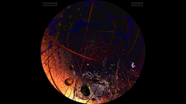 Body_Code_FDOD_2048F_POLISH