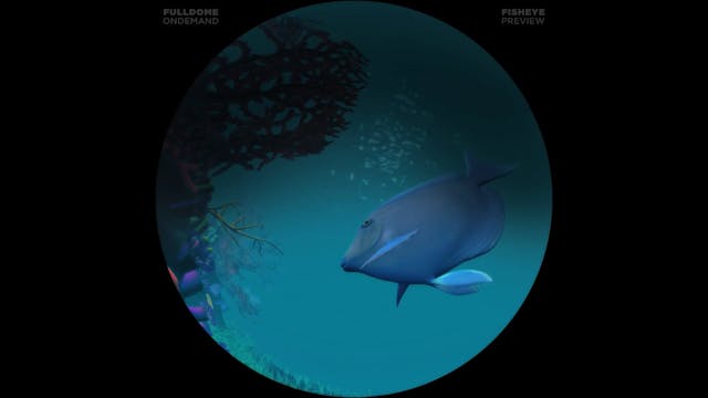 Apollo_And_Beyond_FDOD_1080F_PRE