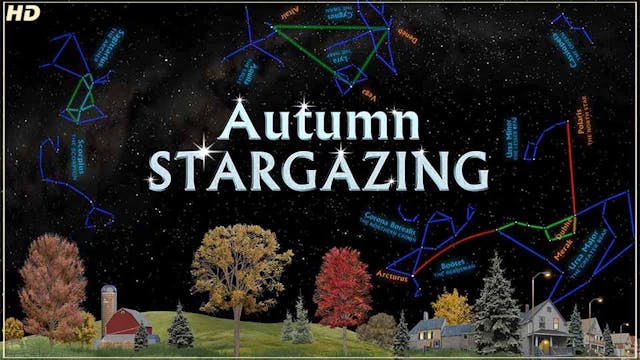 SSG autumn - HD