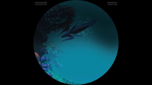 Apollo_And_Beyond_FDOD_1080F_SPANISH