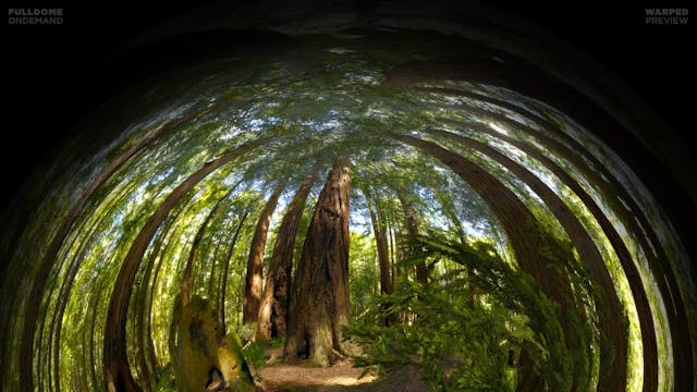 Life_A_Cosmic_Story_FDOD_1920W_PRE