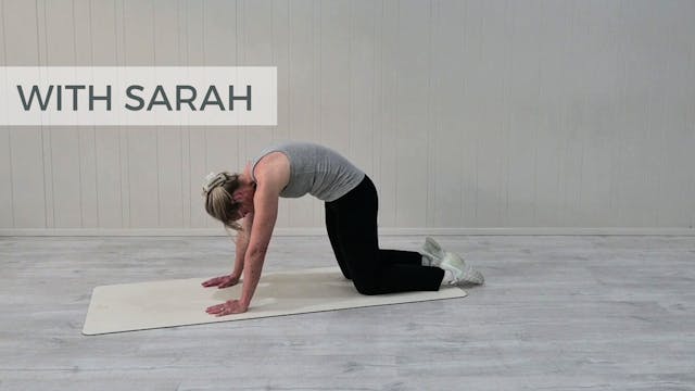 Ergonomics - Stability & Mobility Rou...