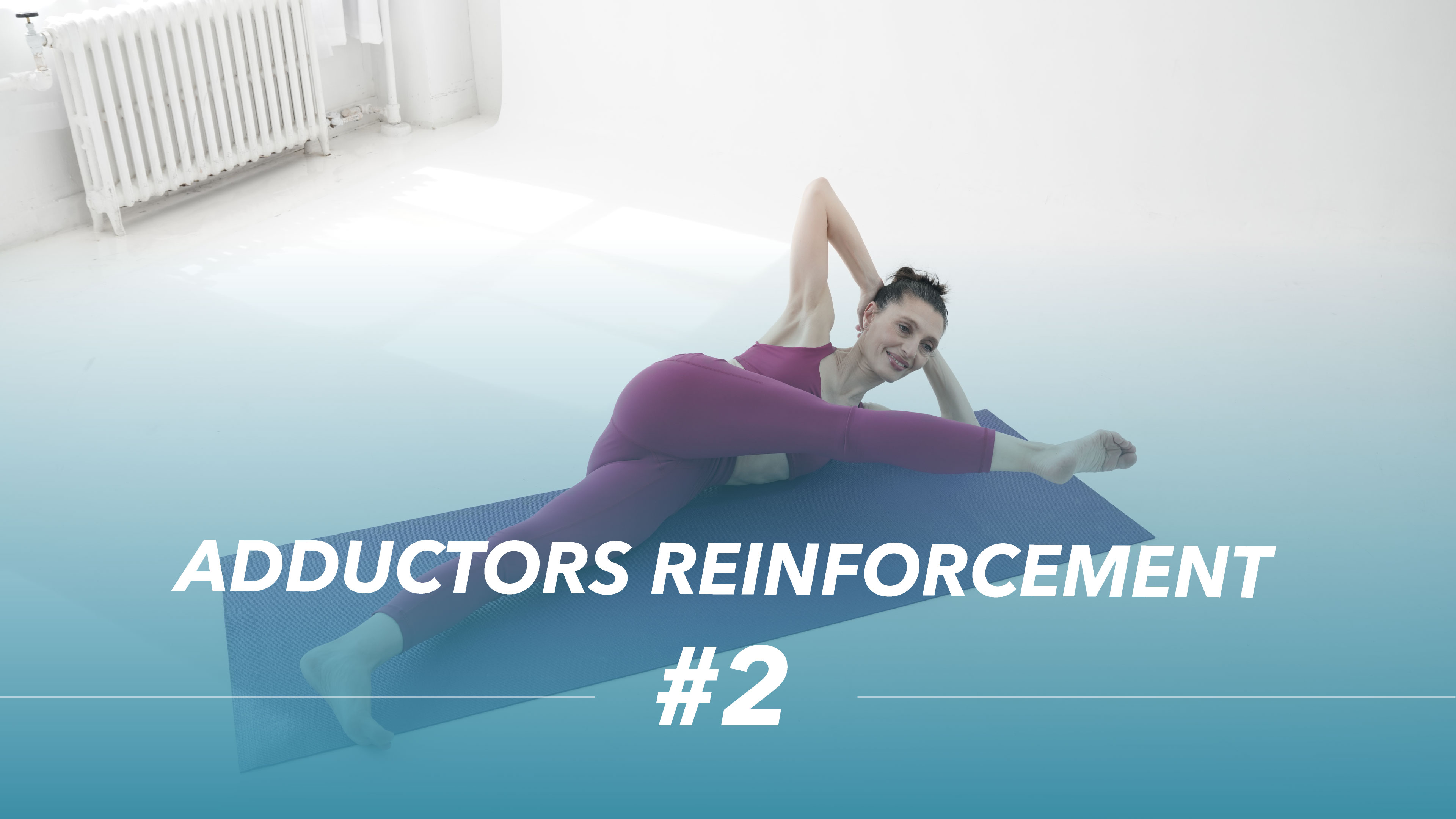 Adductors Reinforcement #2