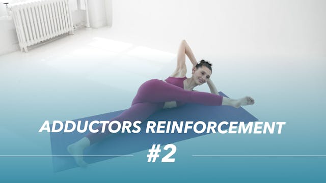 Adductors Reinforcement #2
