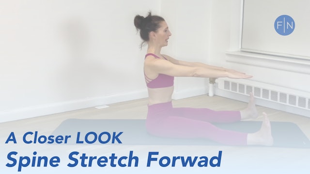 A Closer Look: Spine Stretch Forward
